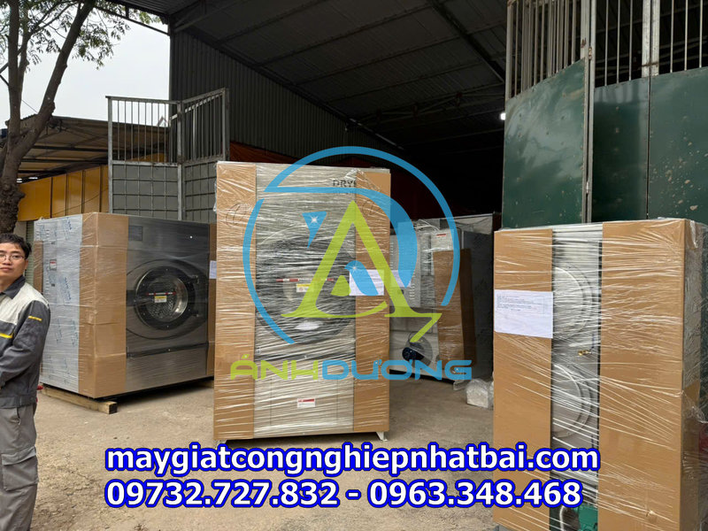 Kho máy sấy công nghiệp Osaka 50kg